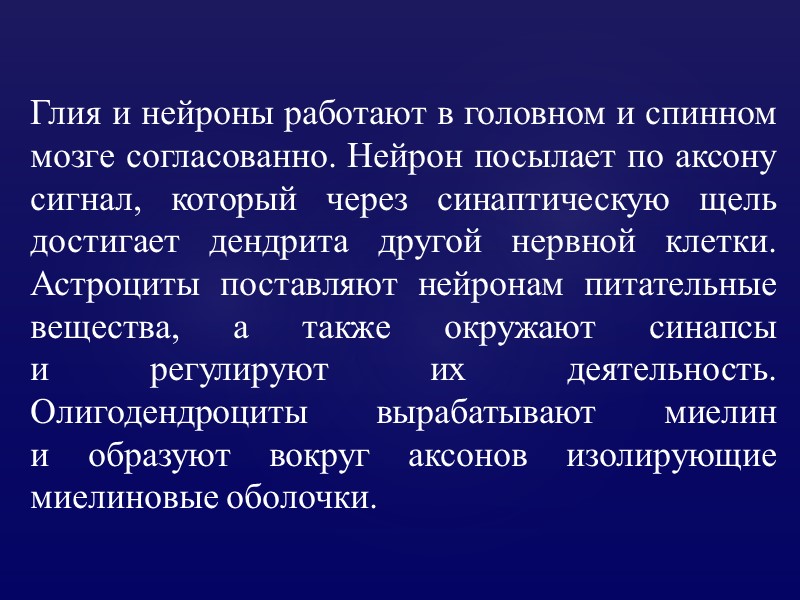 Глия и нейроны работают в головном и спинном мозге согласованно. Нейрон посылает по аксону